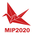 MIP2020 Conference logo